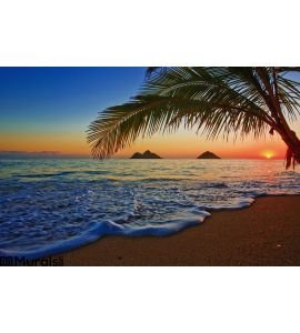 Pacific Sunrise Lanikai Beach Hawaii Wall Mural Wall art Wall decor