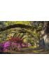 Charleston Sc Spring Bloom Azalea Flowers South Carolina Plantation Garden Wall Mural Wall art Wall decor