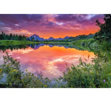 Sunset Snake River Wall Mural Wall art Wall decor