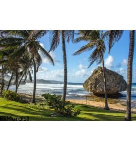 Sunny Beach Martins Bay Barbados East Coast Wall Mural Wall art Wall decor