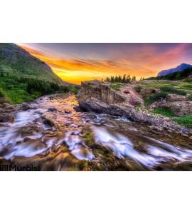 Swiftcurrent Creek Dawn Wall Mural Wall art Wall decor