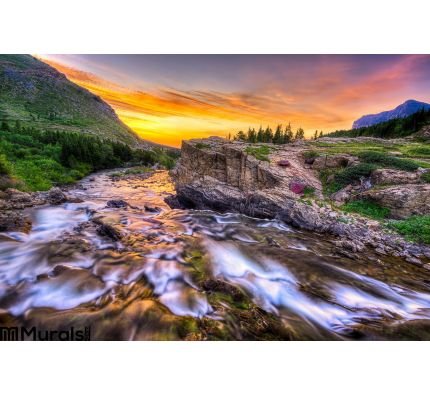 Swiftcurrent Creek Dawn Wall Mural Wall art Wall decor