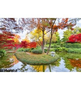 Fall Foliage Texas Wall Mural