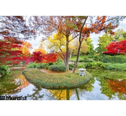 Fall Foliage Texas Wall Mural Wall art Wall decor
