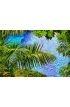 Background Palm Branches Wall Mural Wall art Wall decor