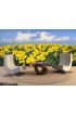 Spring Daffodils Wall Mural Wall Tapestry tapestries