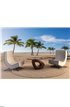 Beach with palms Wall Mural Wall Tapestry tapestries