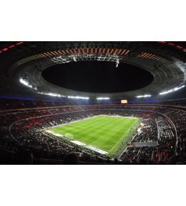 Night view of the Stadium Donbass Arena Wall Mural