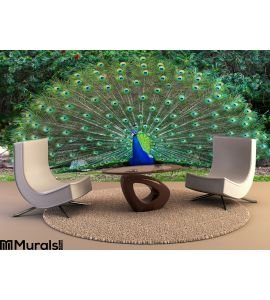 Peacock with fanned tail Wall Mural Wall Tapestry tapestries