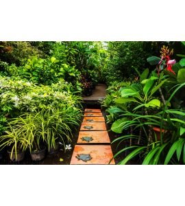 Landscaping Garden Wall Mural