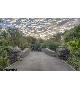 Gapstow bridge Central Park, New York City Wall Mural Wall art Wall decor