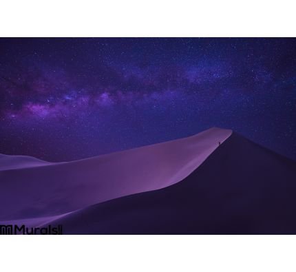 Milky way in sahara desert Wall Mural Wall art Wall decor