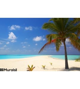 Tropical Beach Wall Mural