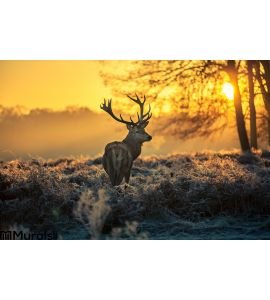 Red Deer Wall Mural Wall art Wall decor