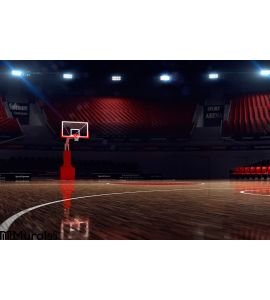 Basketball Court Sport Arena Wall Mural