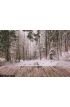 Winter Background Wooden Terrace Nature Forest Landscape Christmas Holiday Concept Wall Mural Wall art Wall decor