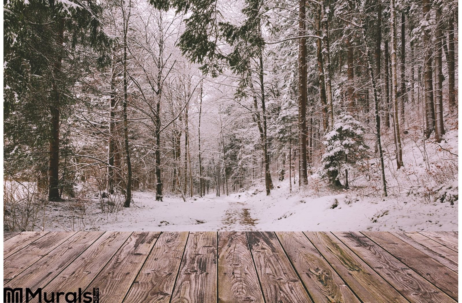 Winter Background Wooden Terrace Nature Forest  Landscape  