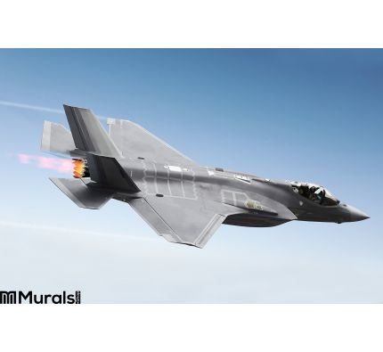 F-35 A Lightning Wall Mural Wall art Wall decor