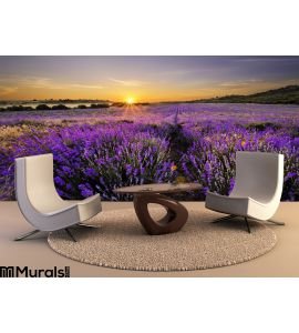 Sunset Over Lavender Field Wall Mural Wall art Wall decor