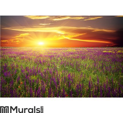 Field with grass, violet flowers and red poppies Wall Mural Wall art Wall decor