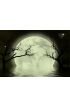 Moon Scary Fantasy Background Wall Mural