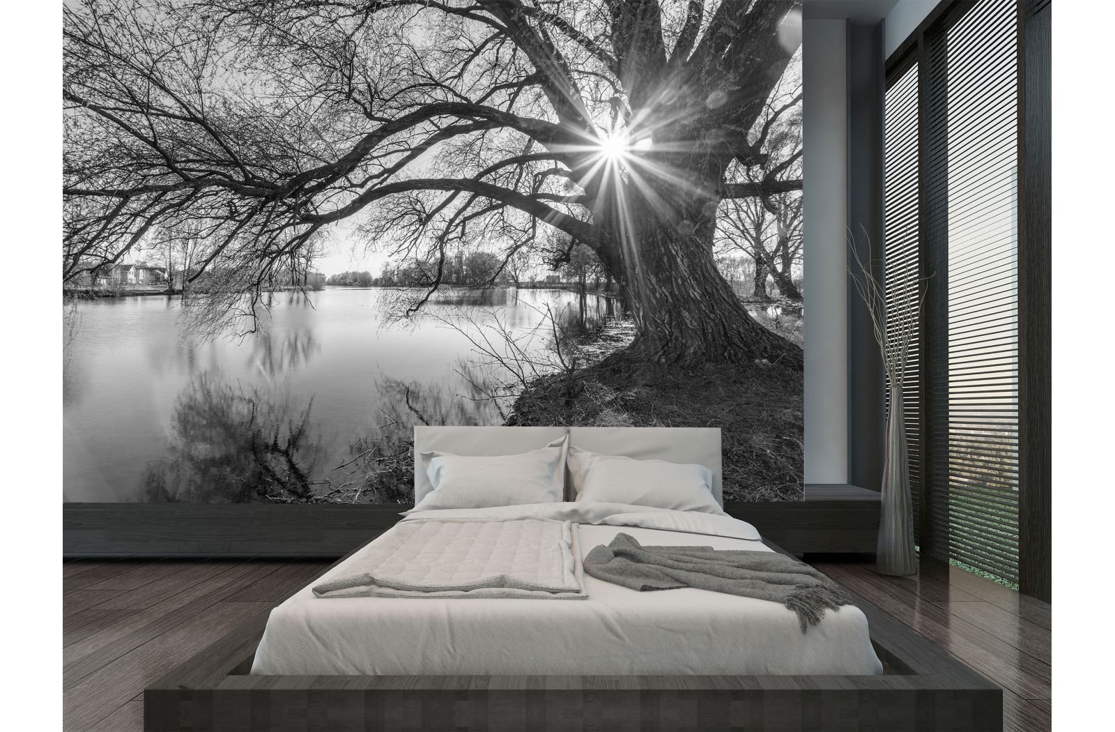 Black White Tree Silhouette Sunrise Time Wall Mural