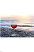 Romantic glass of wine sitting on the beach Wall Mural Wall art Wall decor