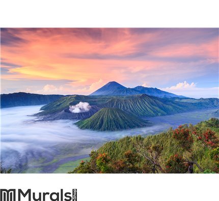 Bromo volcano at sunrise, East Java, , Indonesia Wall Mural Wall art Wall decor