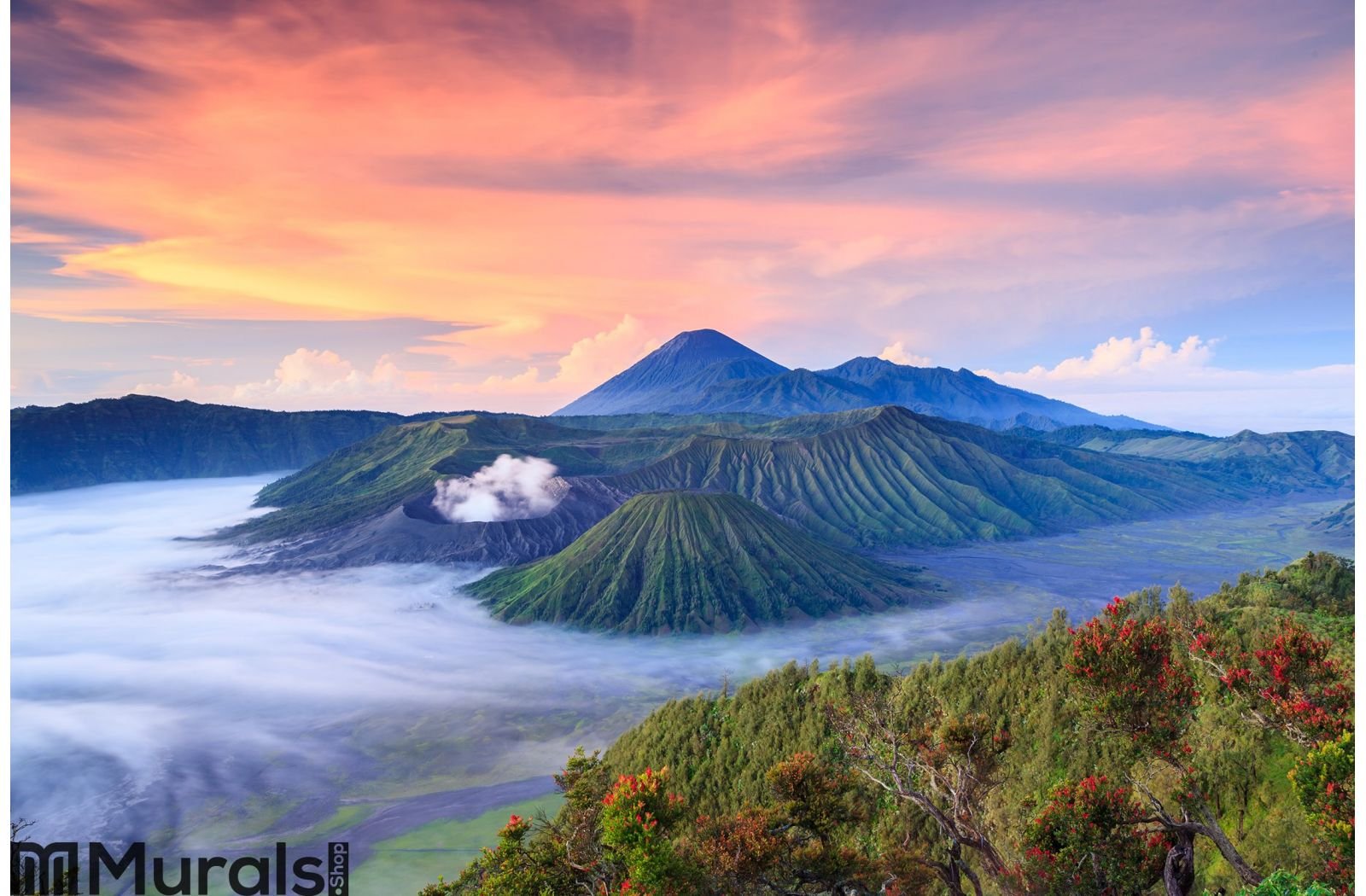 Bromo volcano at sunrise East Java Indonesia  Wall Mural