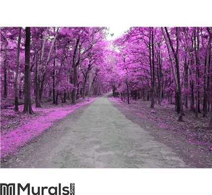 Forest road in autumn Wall Mural Wall art Wall decor