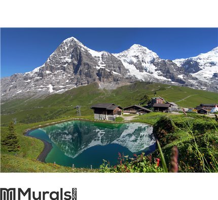 Swiss Alps Landscape Wall Mural Wall art Wall decor