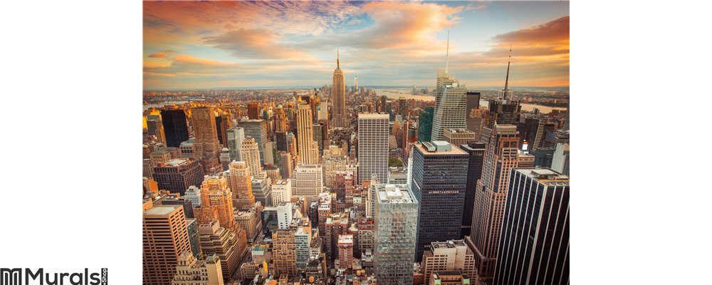 new york city wall mural