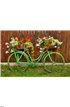 Vintage Bicycle with Flowers Wall Mural Wall art Wall decor
