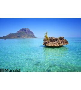 Mauritius Wall Mural Wall Tapestry tapestries