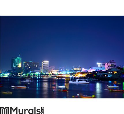 Pattaya night city Wall Mural Wall art Wall decor
