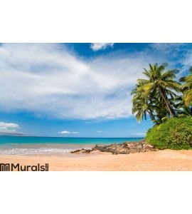 Plam tree beach hawaii Wall Mural Wall art Wall decor