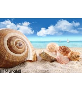 Seashells on the beach Wall Mural Wall art Wall decor