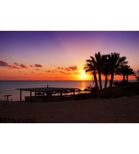 Sunset in Marsa Alam, Egypt Wall Mural Wall art Wall decor