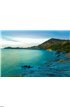 Beach in the evenings Wall Mural Wall art Wall decor