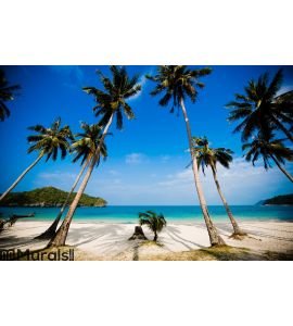 Coconut palms on the beach Wall Mural Wall art Wall decor