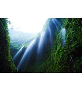 Madakaripura Waterfall, East Java, Indonesia Wall Mural Wall art Wall decor