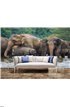 Elephant family in water Wall Mural Wall Tapestry tapestries