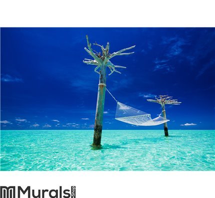 Empty over-water hammock Wall Mural Wall art Wall decor