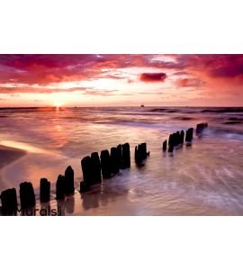 Love at seaside Wall Mural Wall art Wall decor